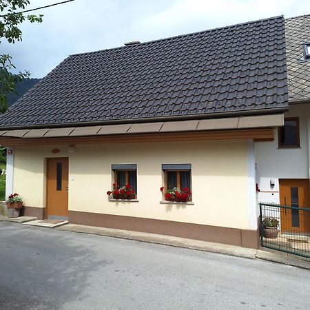 Apartma Pr Martin Begunje na Gorenjskem Exterior foto