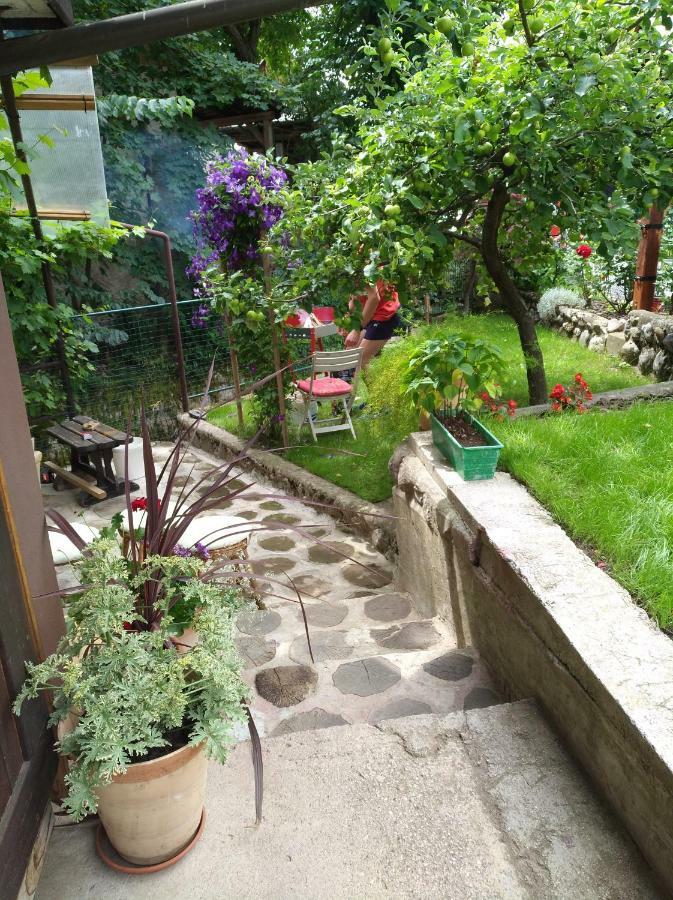 Apartma Pr Martin Begunje na Gorenjskem Exterior foto